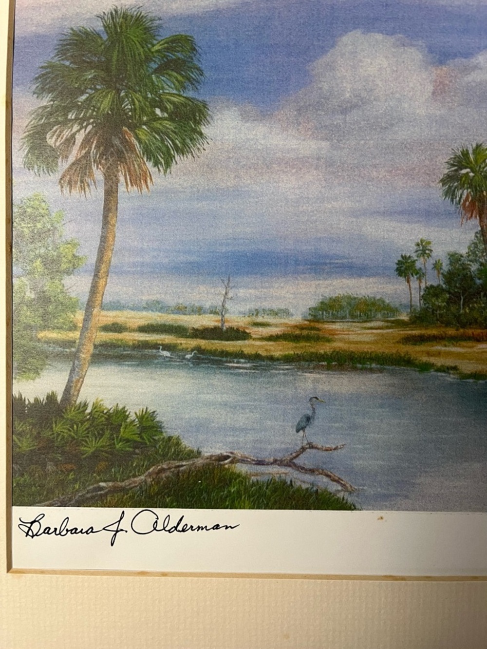 Florida coastal print blue heron Barbara Alderman print matted
